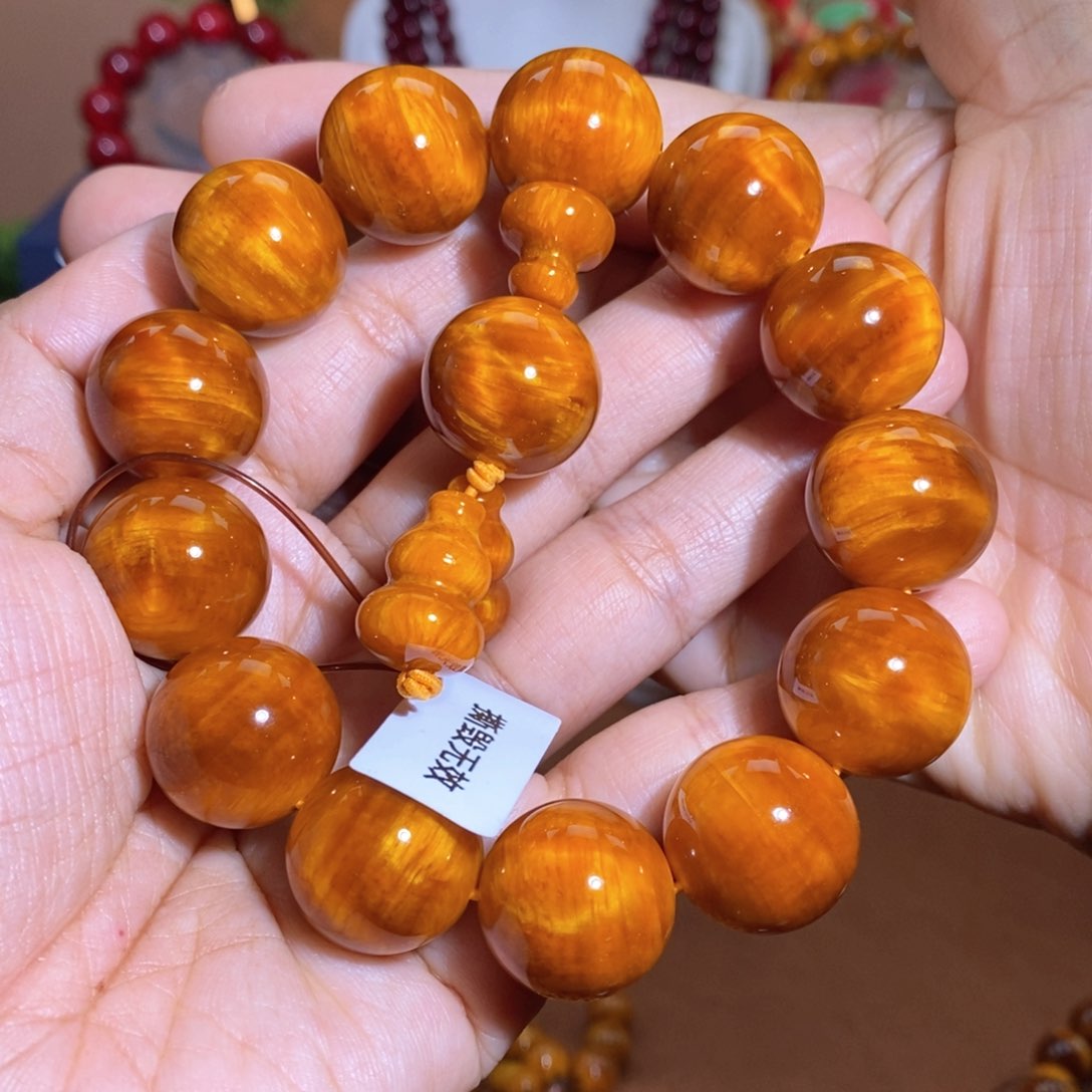 贝壳杉帝王血龙木1.8闪电