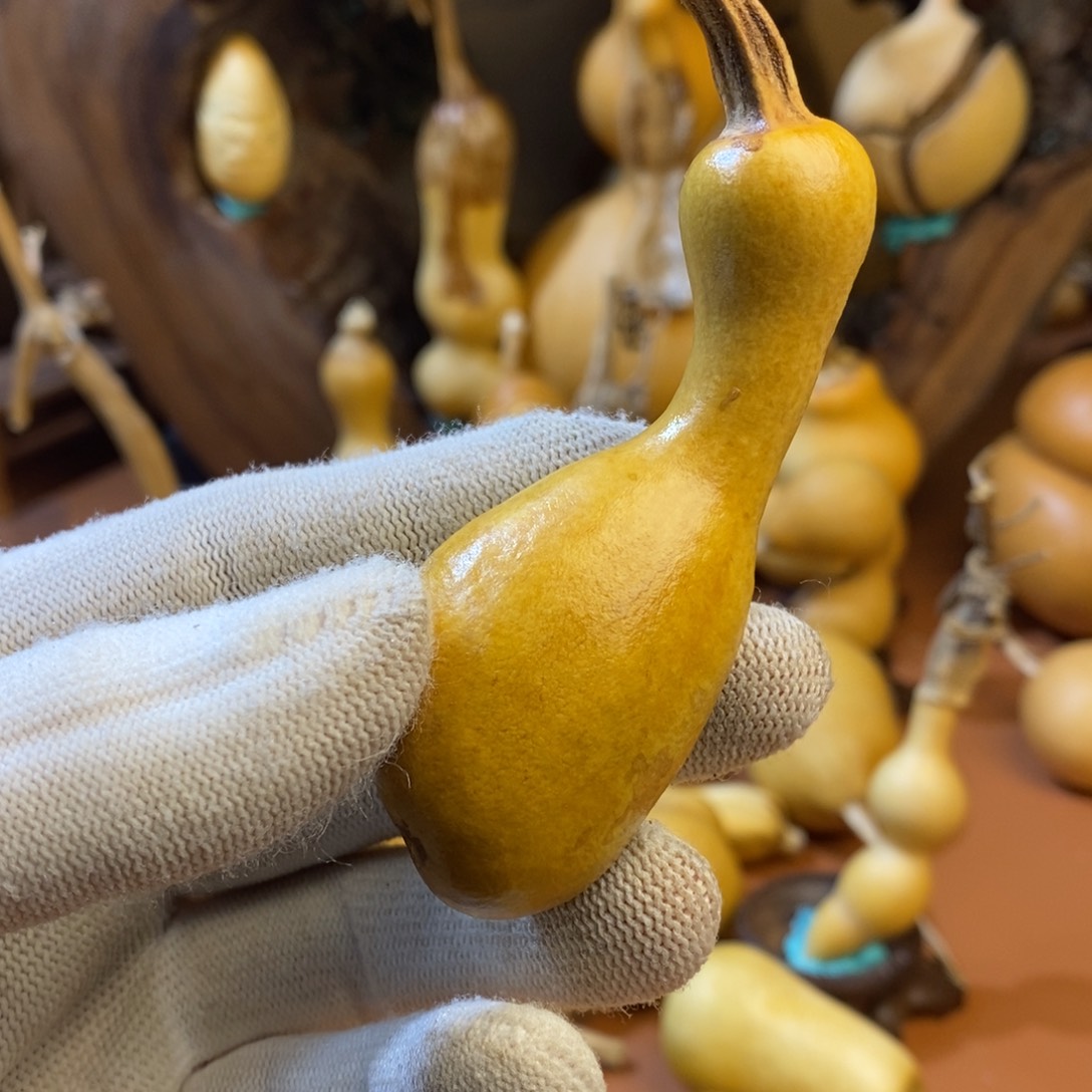 *****教练咯教练咯哦哦哦咯