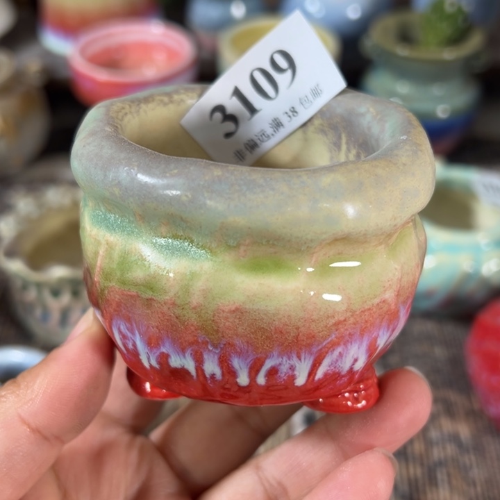 口5.5 未满30运费到付