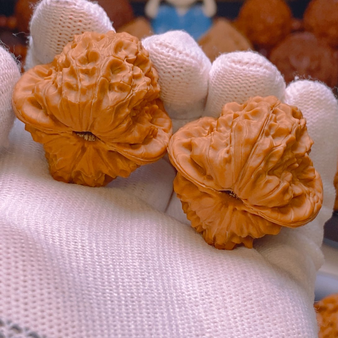 文玩核桃吊坠原树 白蛇谷