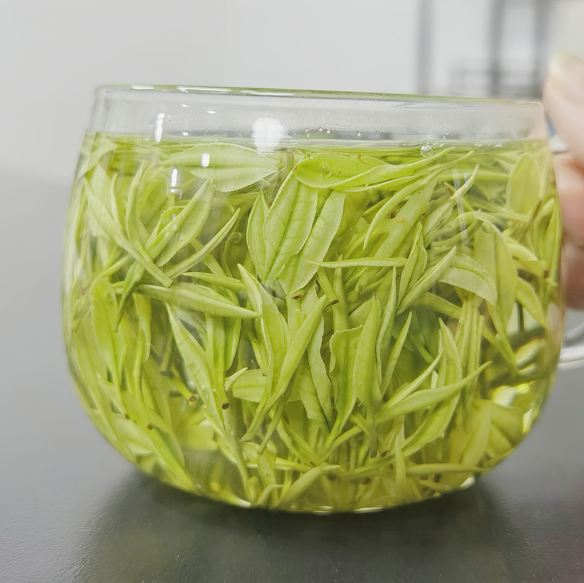 安吉白茶原产地母本极白明前茶高山绿茶香浓耐泡兰花香