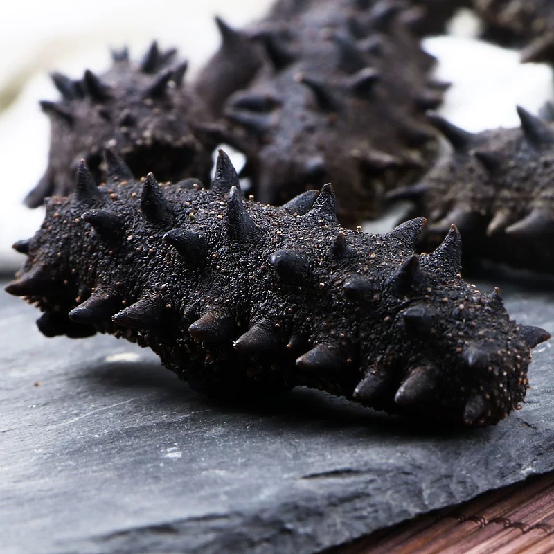 【到手4大盒】国标特级冷水速发高品质刺参纯淡干海参干