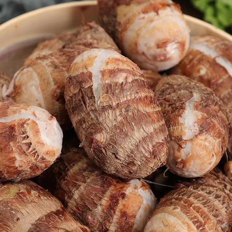 新鲜山东芋头1斤左右