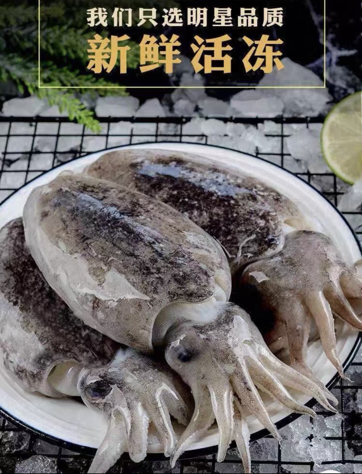 冰鲜 大墨鱼比目鱼5斤（每个一斤左右）液氮锁鲜顺丰包邮