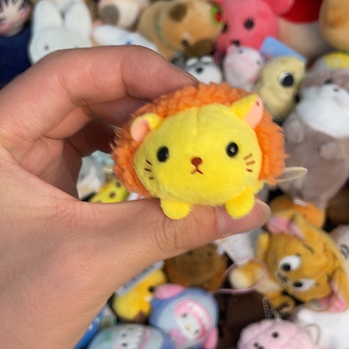 毛绒正版亏本促销