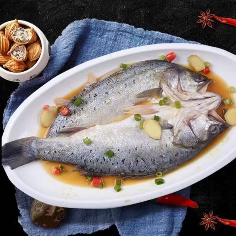 新鲜海鲈鱼活鱼现杀开背 鲈鱼 速冻锁鲜 500-600克/包*5条