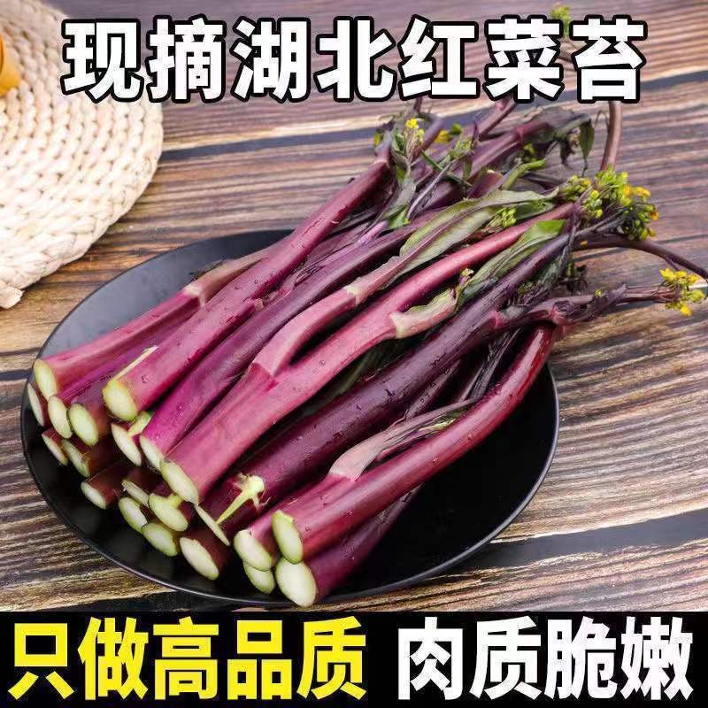 湖北露天农家自种新鲜现摘红菜苔蔬菜洪山菜苔紫菜苔油菜甜嫩青菜