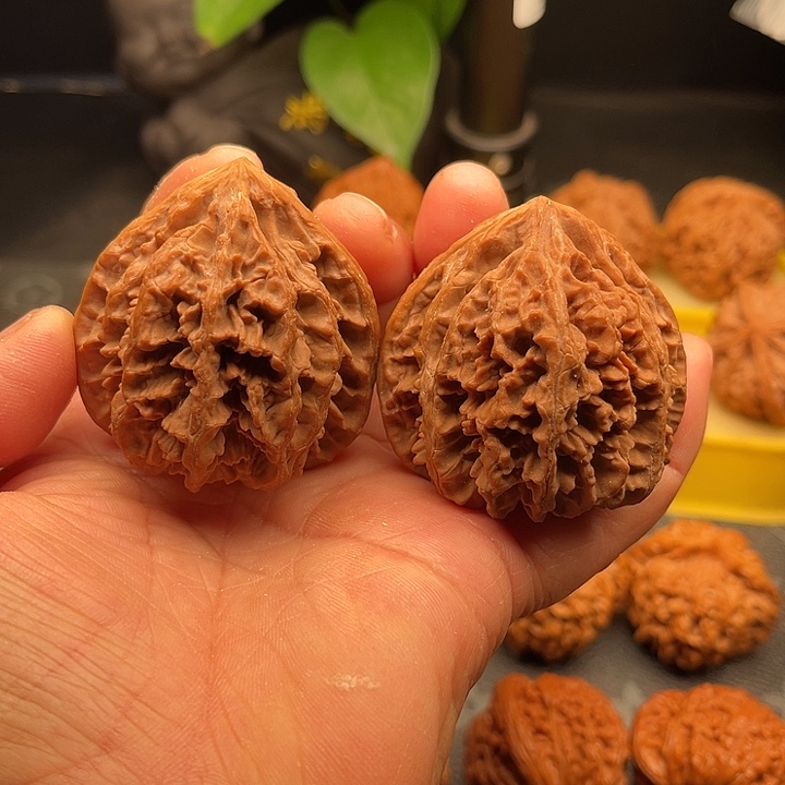 文玩核桃把件状元边49肚49高51