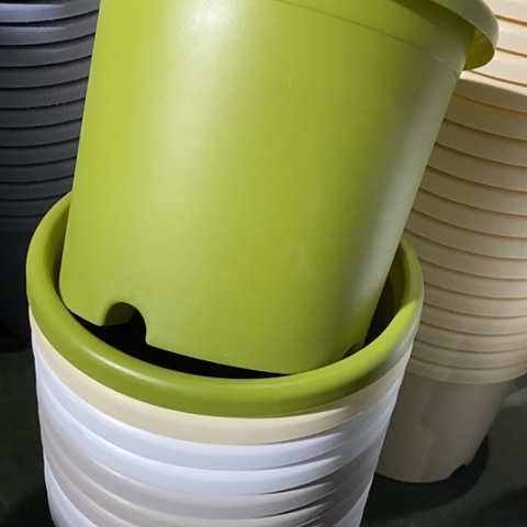 树脂特价4#无托果绿8