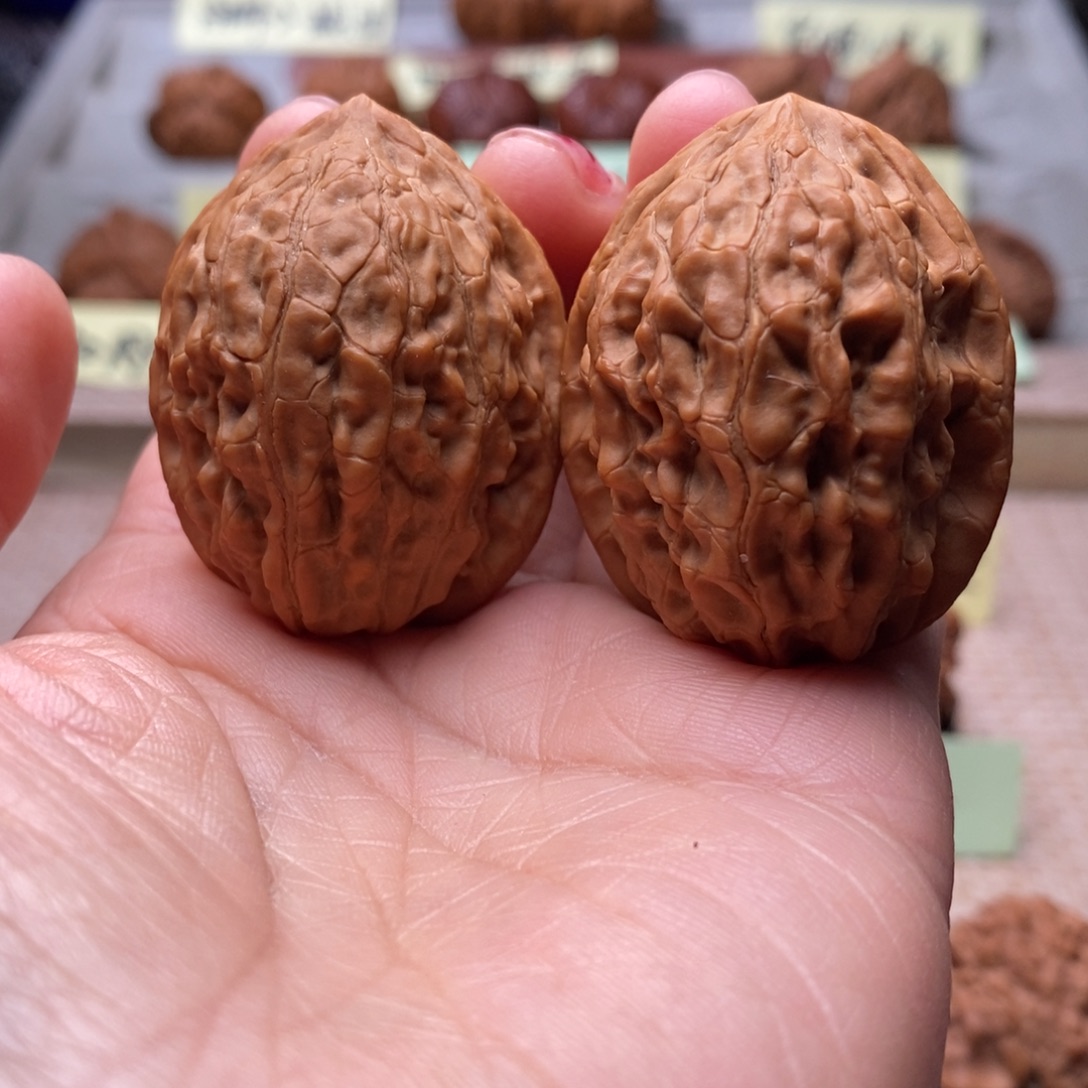 文玩核桃把件舍利