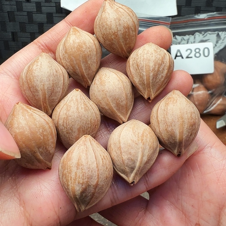 橄榄核手串/手链橄榄