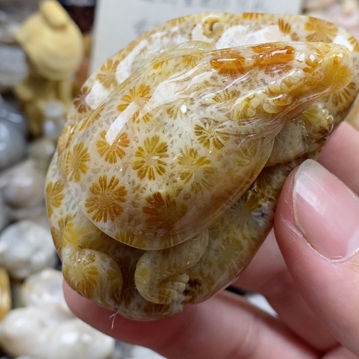 颈饰未镶嵌硅化珊瑚（珊瑚玉）