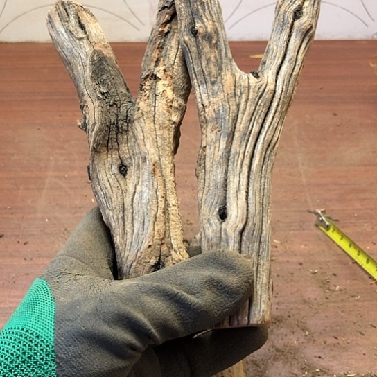 大果紫檀（缅甸花梨）一****龙