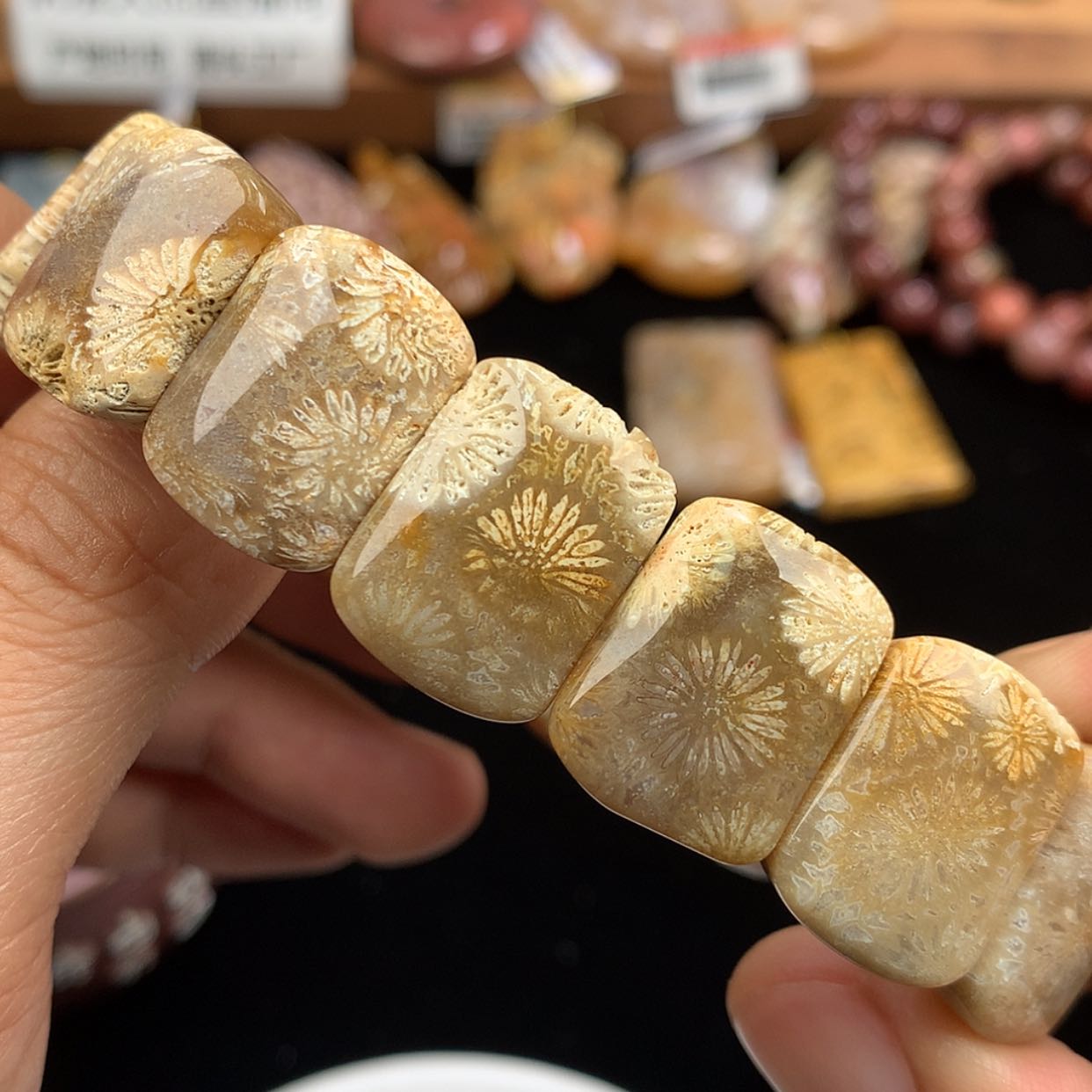 【闪购商品】硅化珊瑚（珊瑚玉）未镶嵌手链