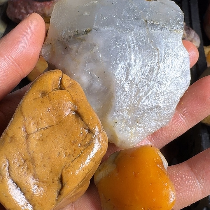 乐***阳寿山石寿山石的种类