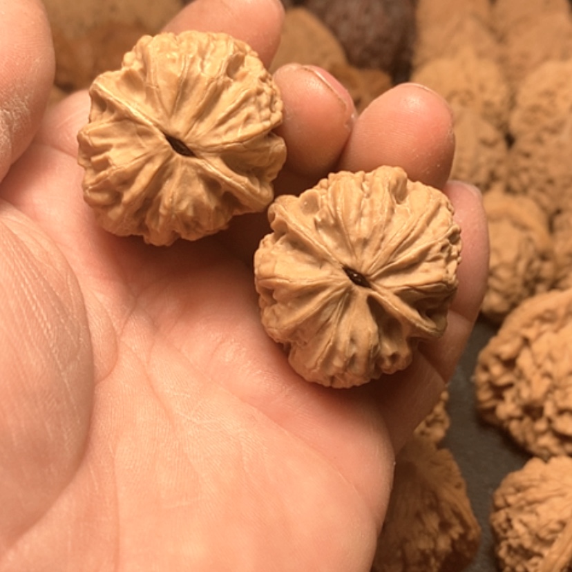 【闪购商品】晚*.西北将军