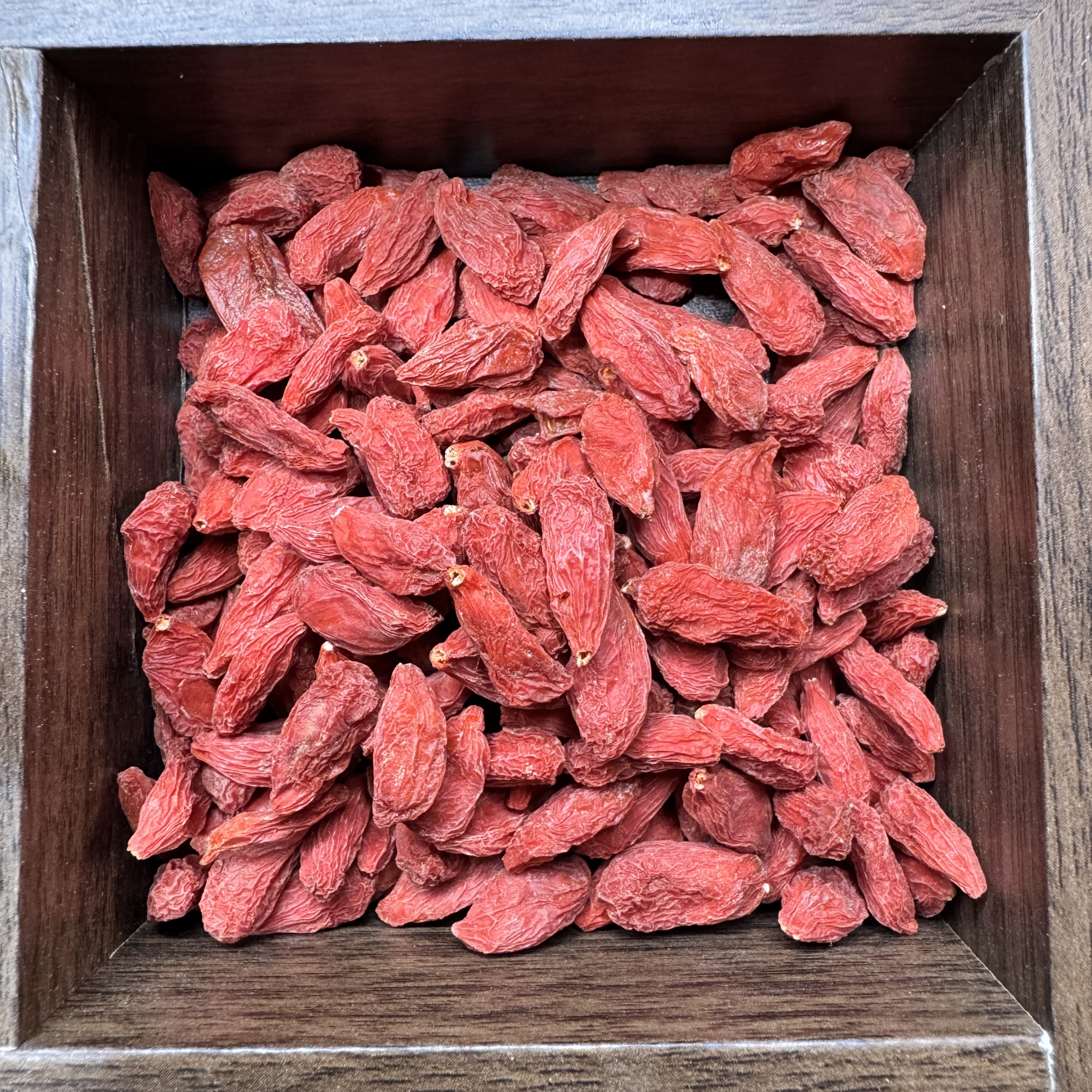 自由链下单前接联系客服在下单