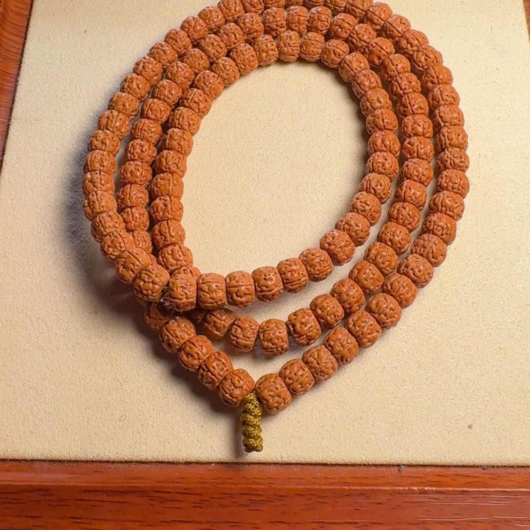 金刚菩提吊坠藏式盘龙8.5