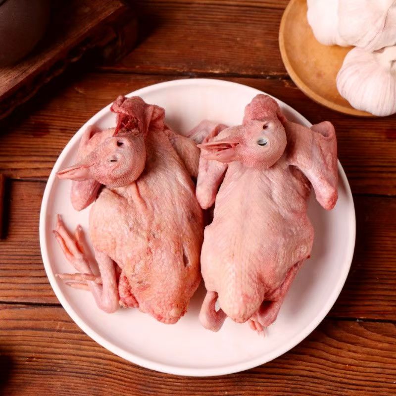 圆环元宝灌水多种直播专用（图片仅供参考）