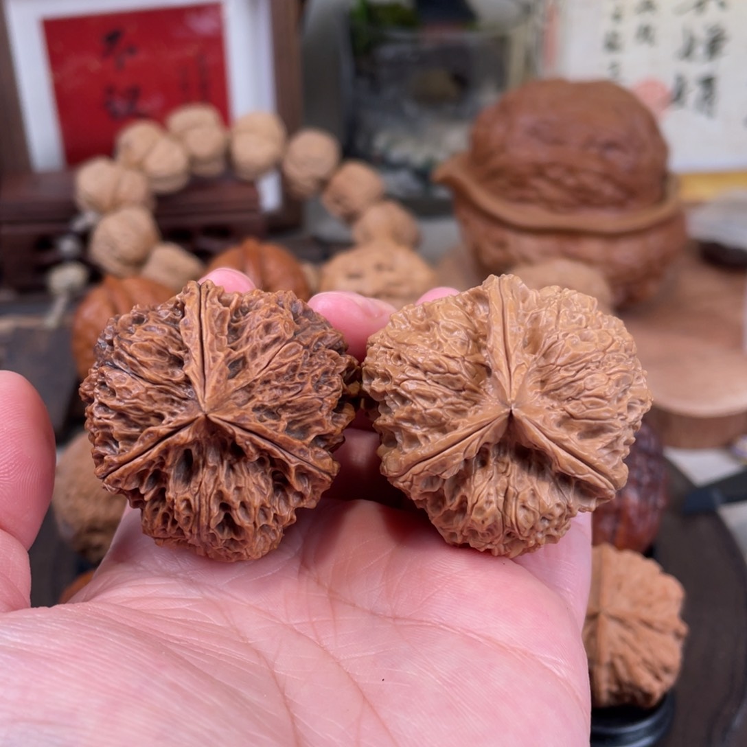 文玩核桃把件正奔三棱41尺