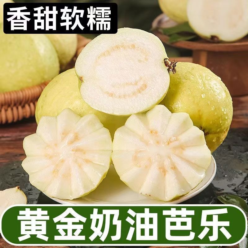 【奶油软心】广西新鲜奶油芭乐白心红心双拼软糯香甜当季水果包邮