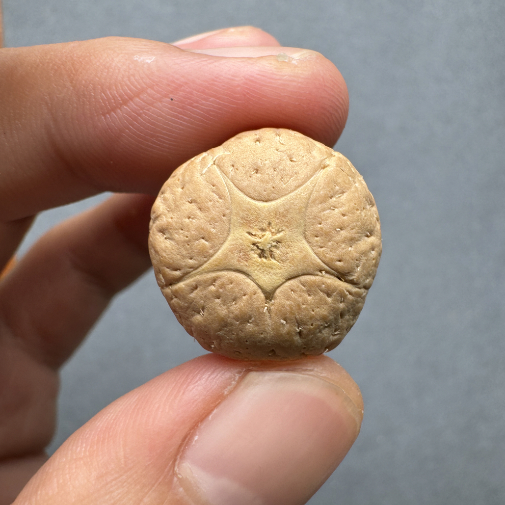精品20+五星上将菩提凤眼菩提三通佛头，非质量问题开孔不退