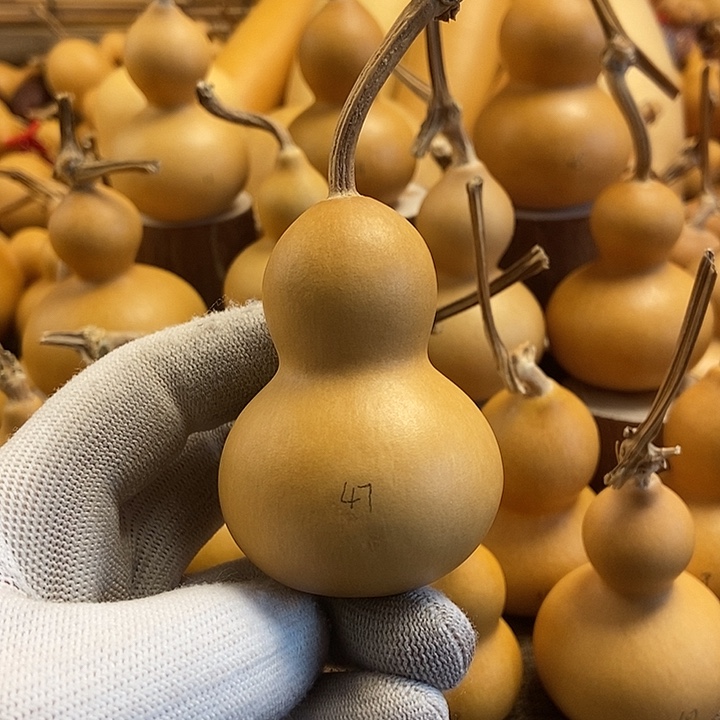 文玩葫芦 完美主义者 慎拍47