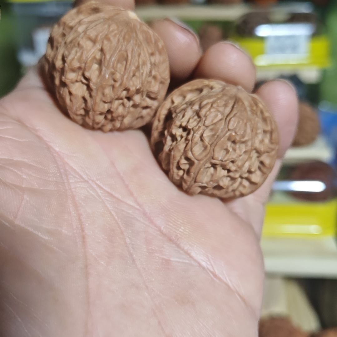 36尺寸，山地磨盘，有黄