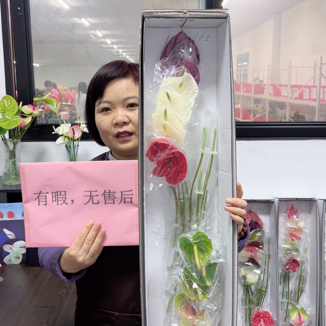 完全开放混色-16枝装无售后款165