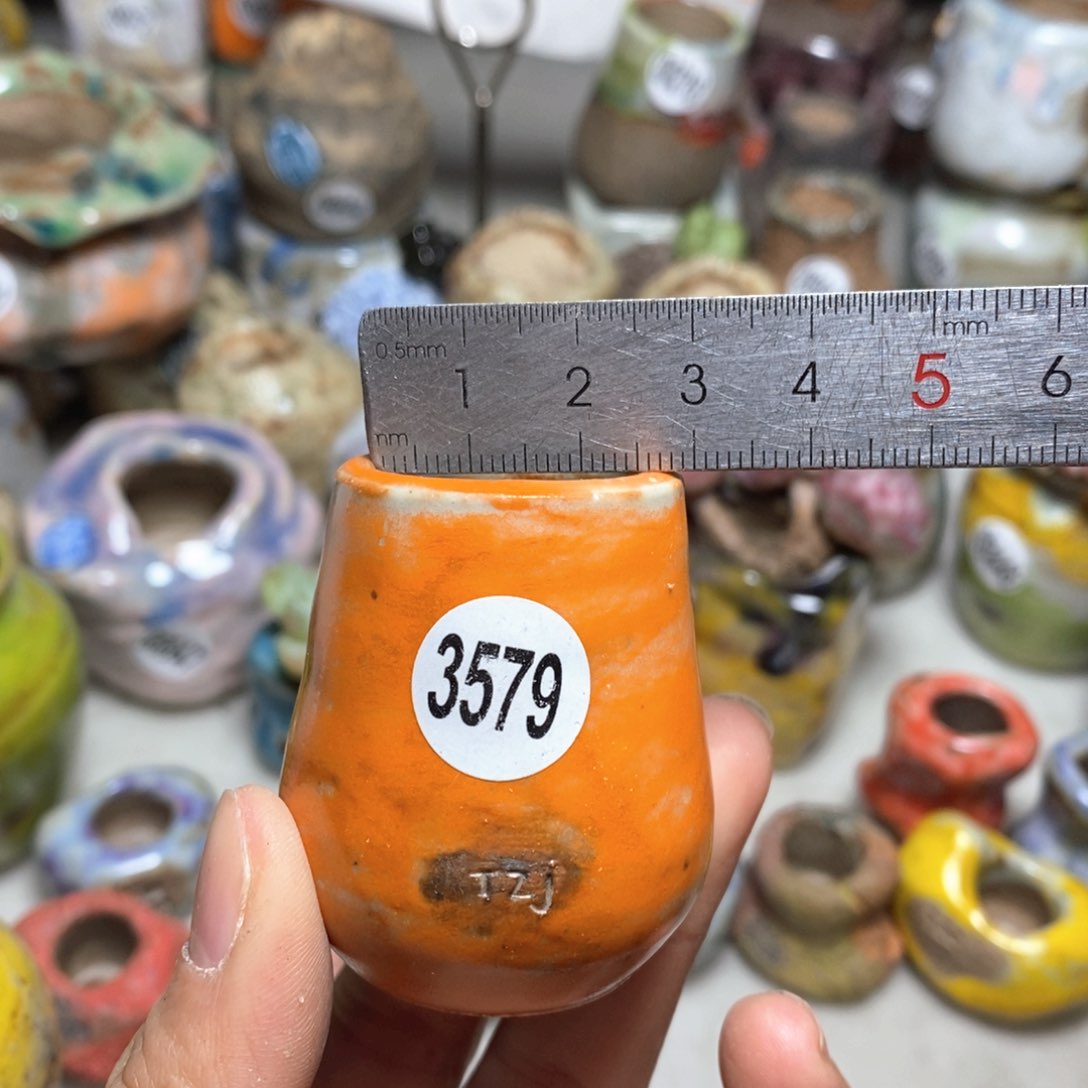 花盆拍5送一个小礼物