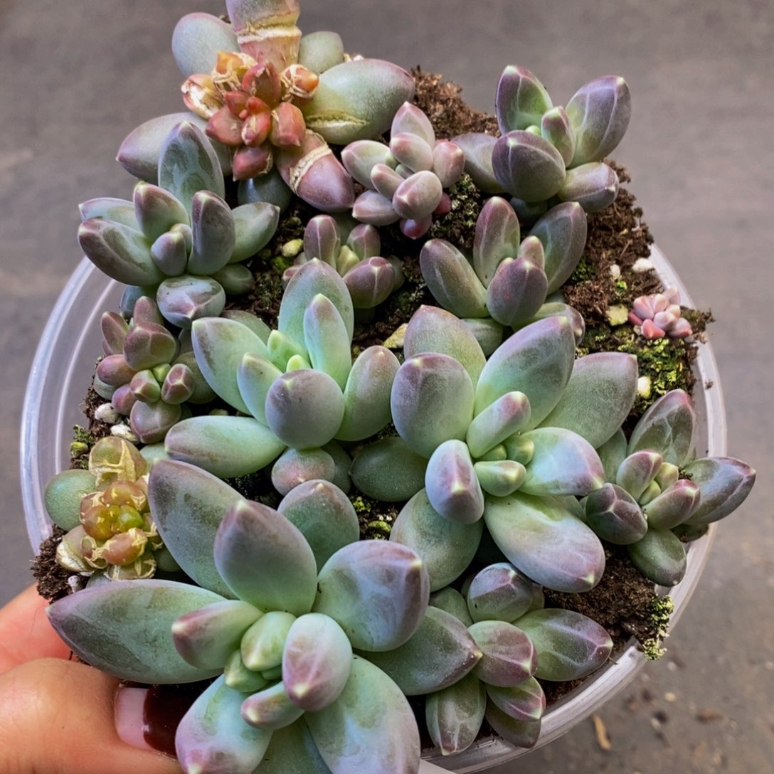 635多人受伤，你在