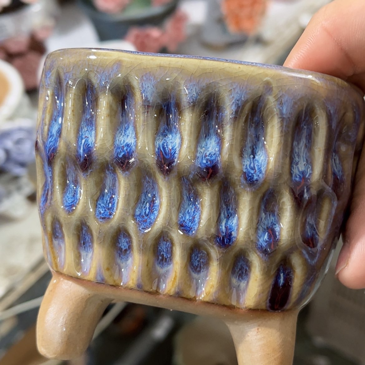 【闪购商品】红陶福利