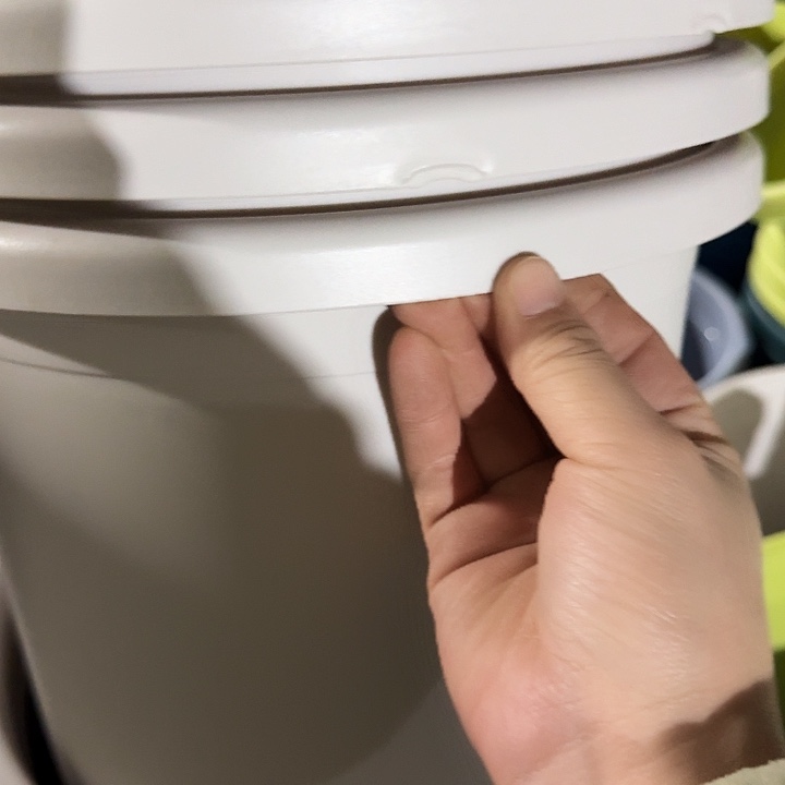 缺口5#口径29灰白5个无托