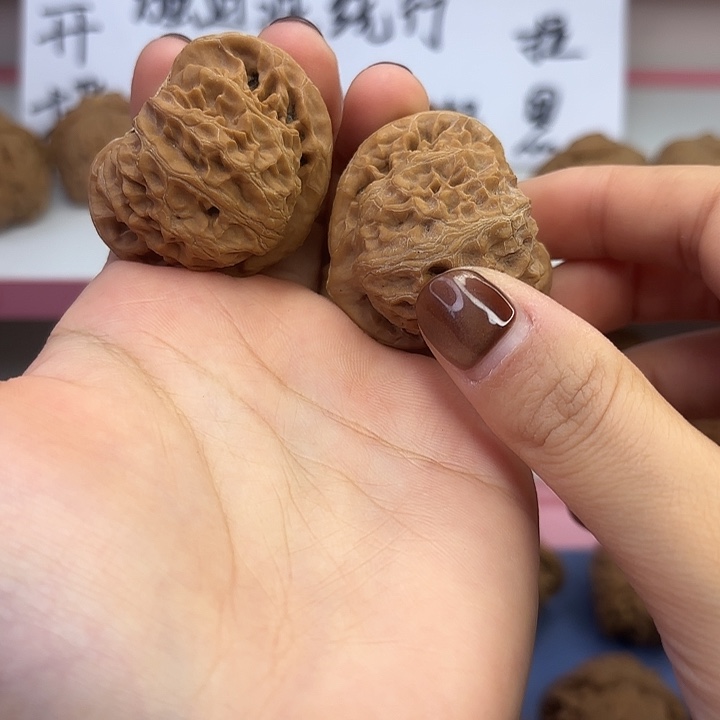 宫灯41尺 全品无修