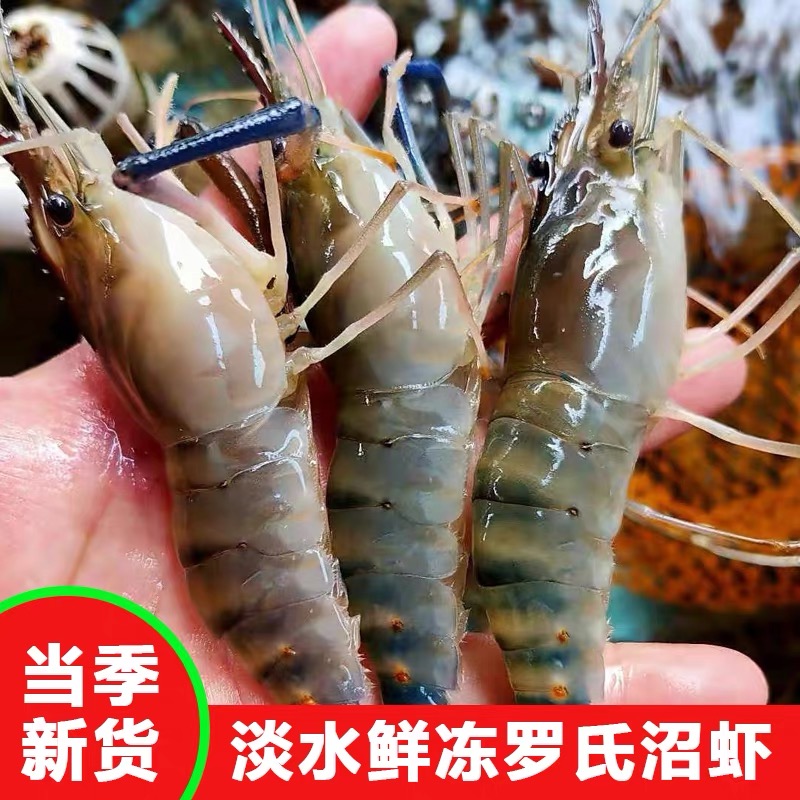 鲜活速冻3斤罗氏虾一斤18- 20条左顺丰冷链包邮