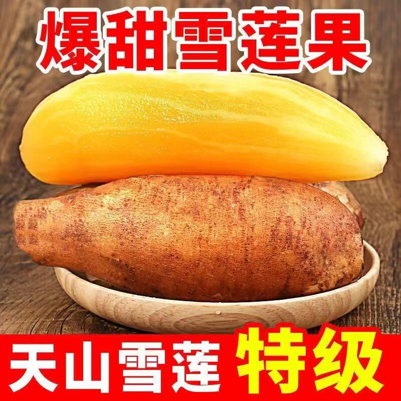 【划算】云南天山雪莲果新鲜现挖水果脆甜多汁低糖水果孕妇水果