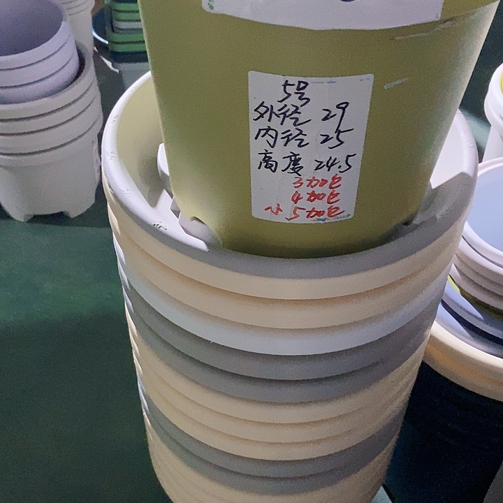 四季微瑕5号果绿无托6个