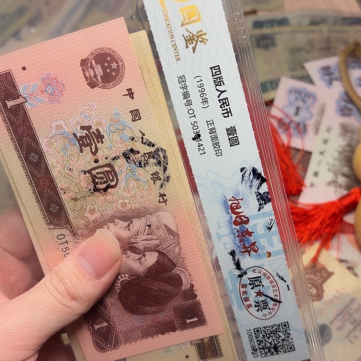 拼***搏国鉴12。           