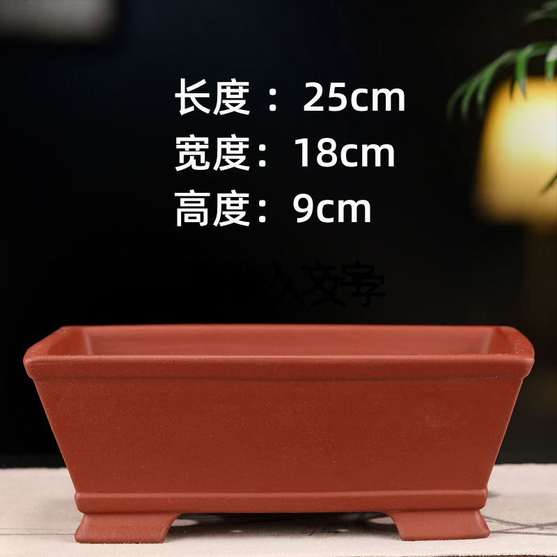 紫砂花盆小叶紫檀金弹子多肉文竹室内桌面简约精品微型陶瓷盆景盆