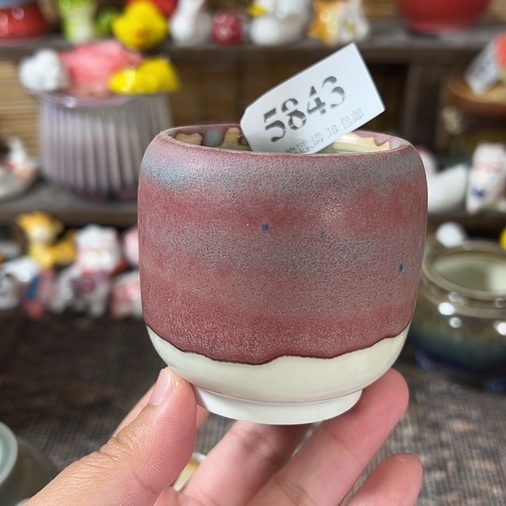 口5 手工花盆满30包邮