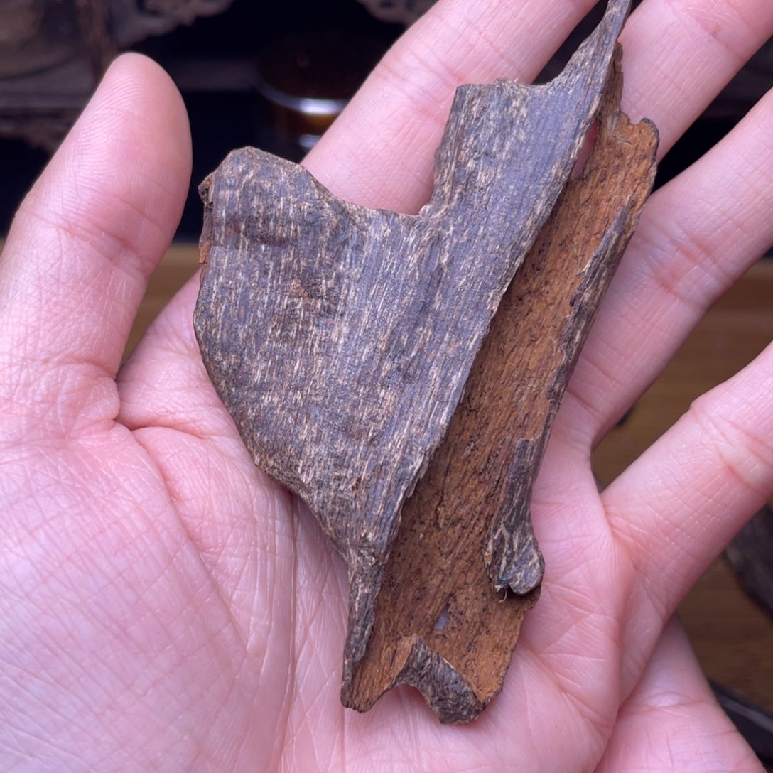 香榧木海南尖峰岭沉水虫漏5克