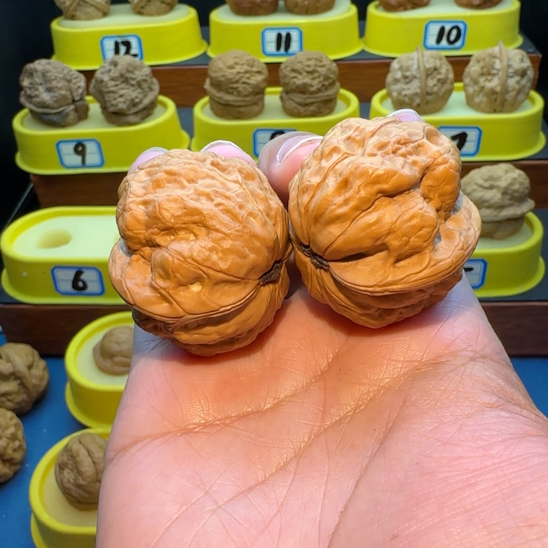 H***0把件桃核蟾祖核桃