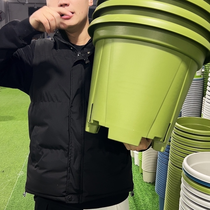 清仓青山口40高34果绿色5支无托