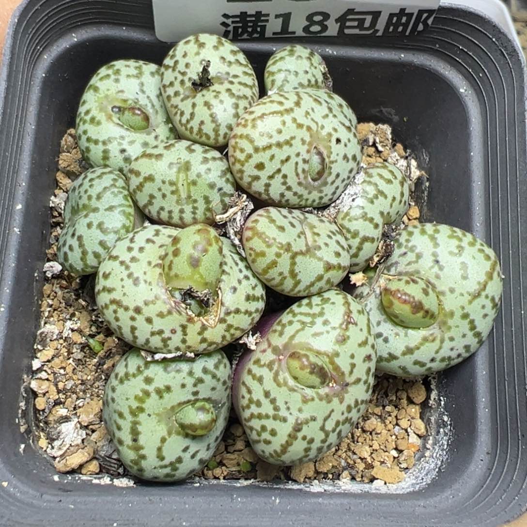 【闪购商品】 154。   