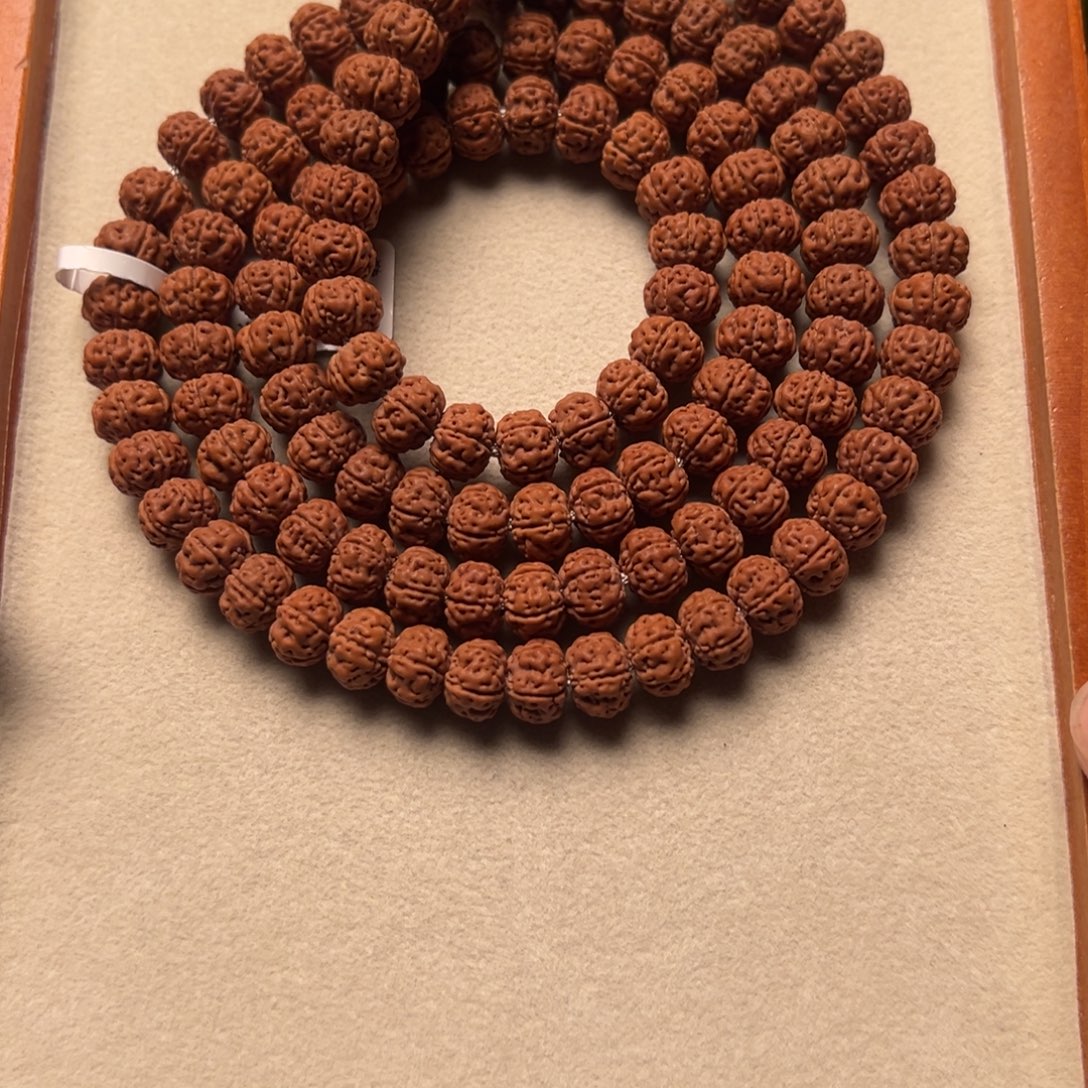 冬***菩提籽类9999999999