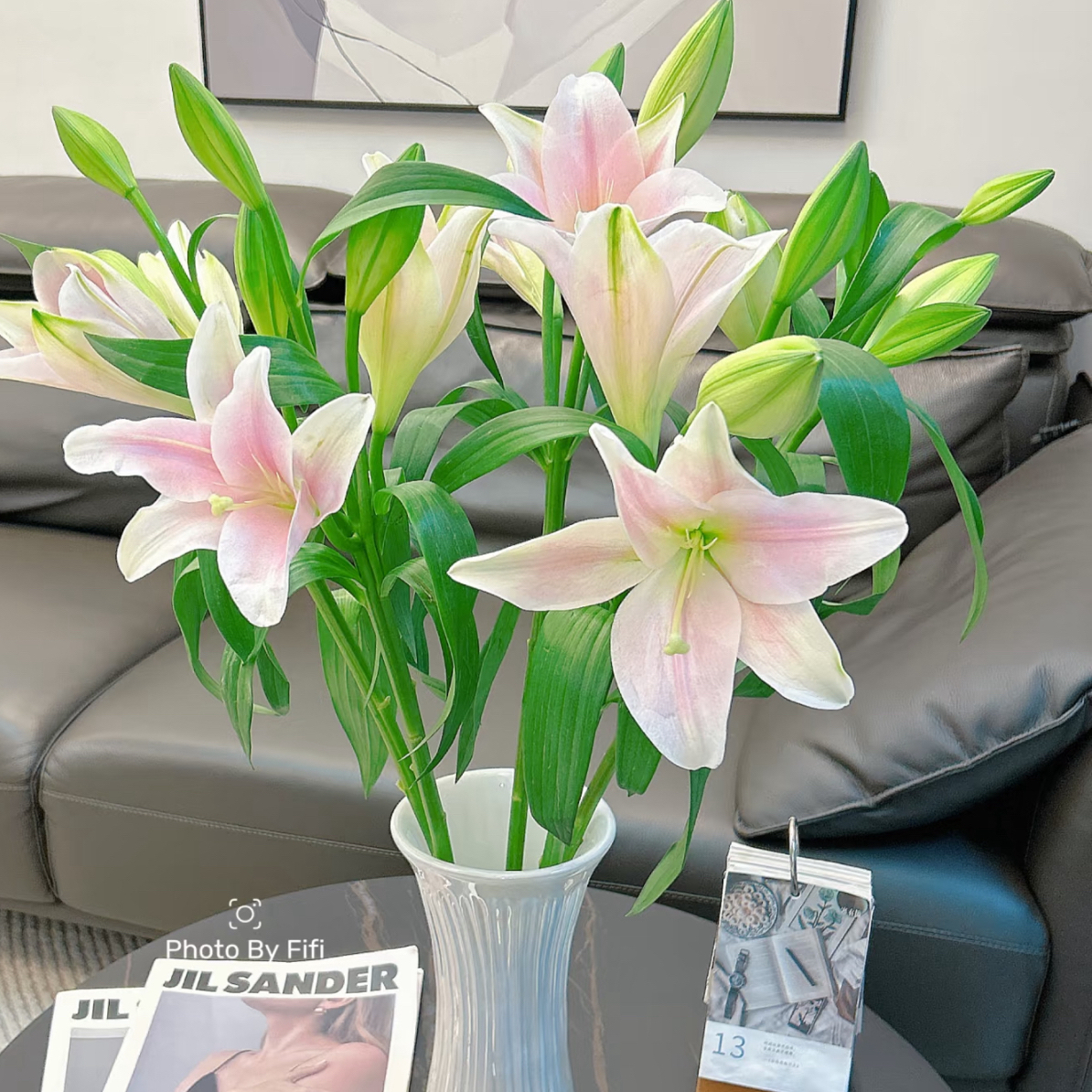 【粉铁炮】香水百合，10支，10头