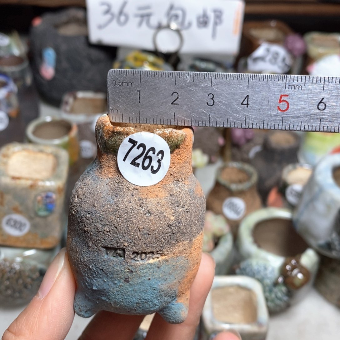 拍3送一个小礼物