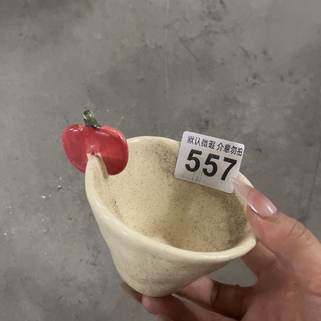 陶微瑕小苹果杯一个557