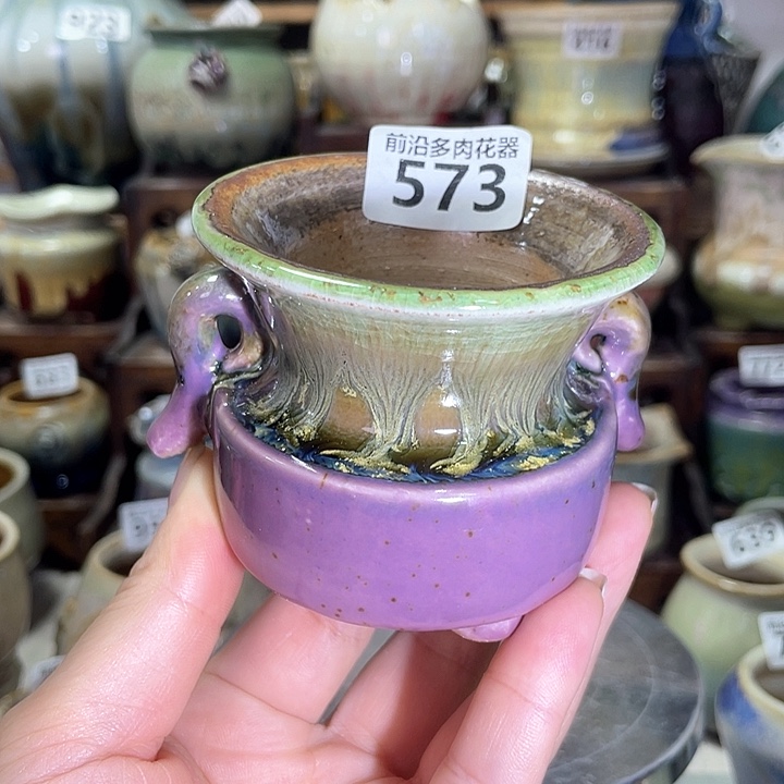 红陶内口径6高度6