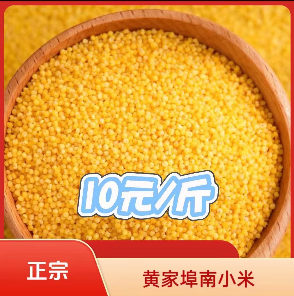 【于峰推荐】正宗黄家埠南小米5斤桶装